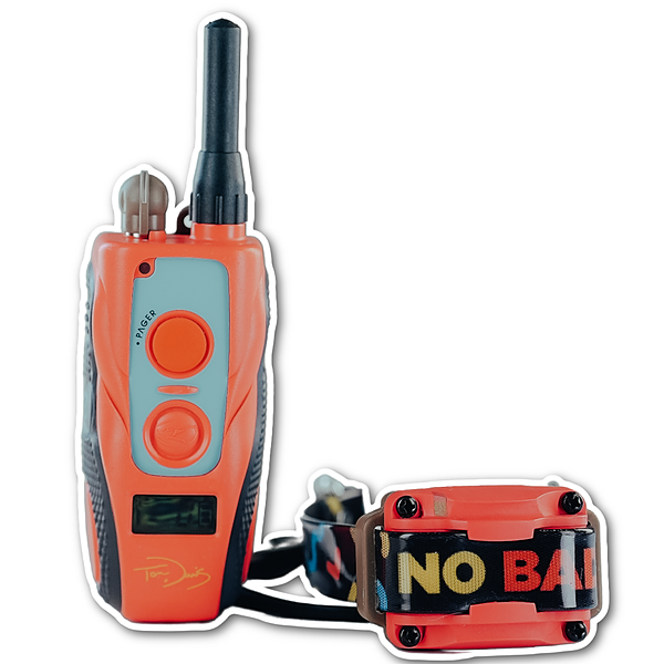 Tom Davis Instagram, TikTok Linktree